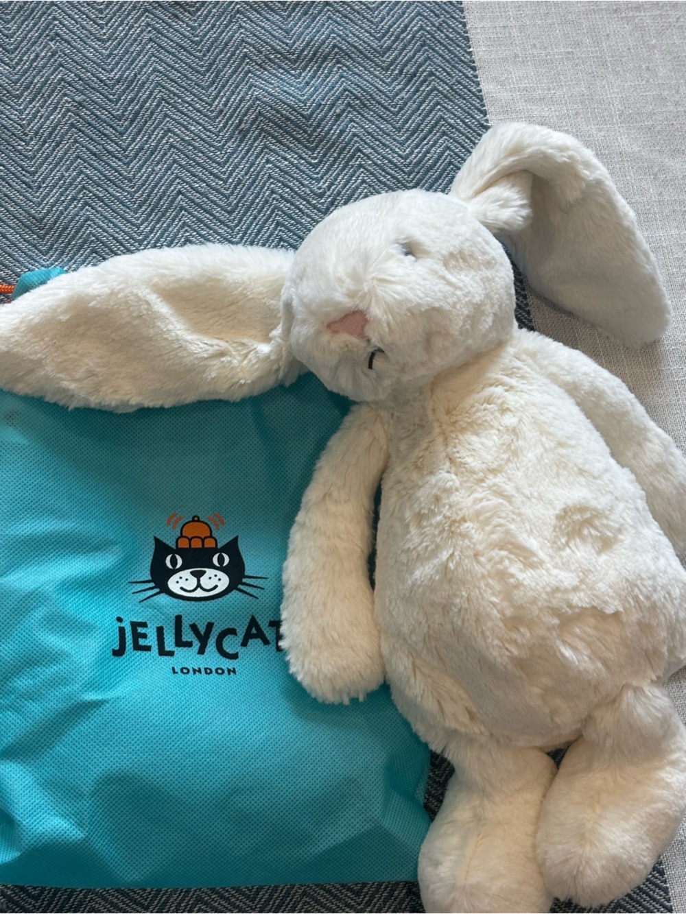 Jellycat Bashful Cream Plush Bunny with Turquoise Carry Bag NWT
